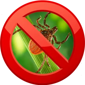 No ticks sign over a tick on a blade of grass, indicating tick prevention or avoidance.